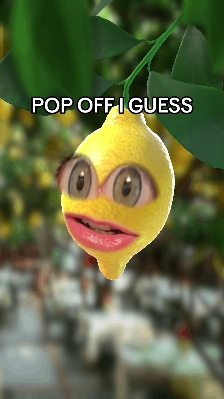 @talkinglemonrry