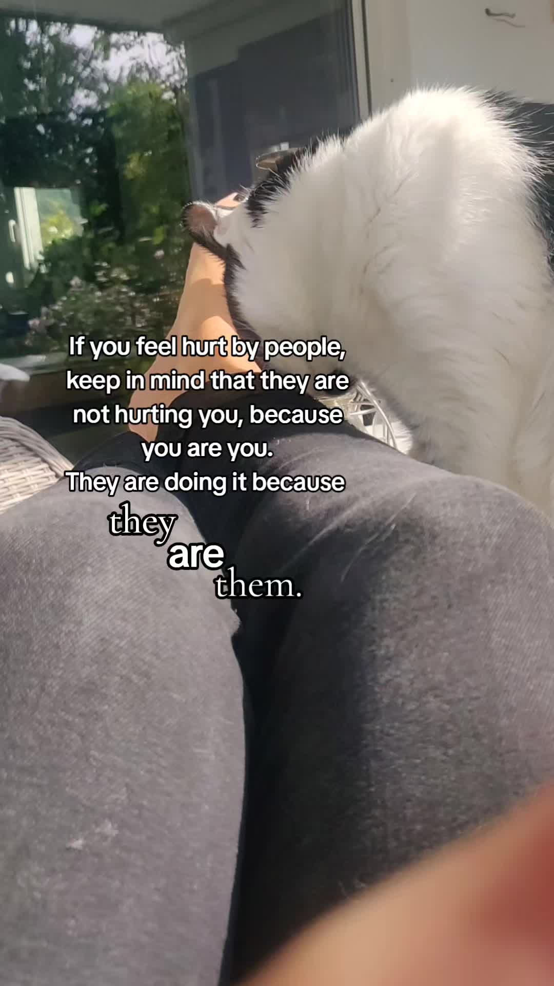 @E.m.m.a 🐶 ❤️