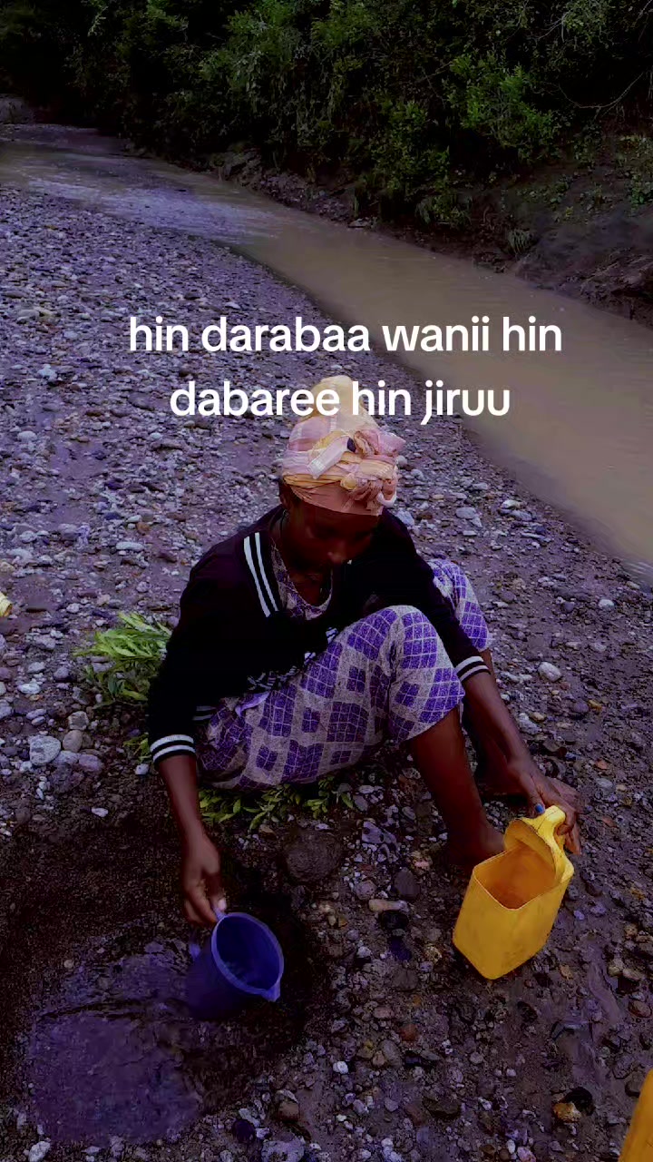 @zani fikire