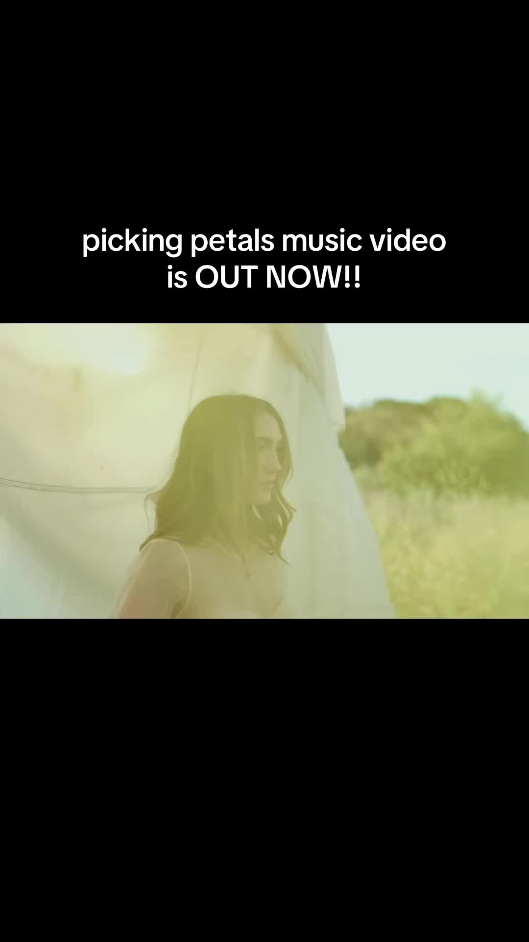 @alygators🐊💚