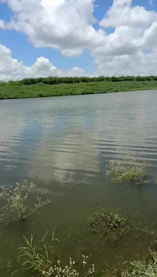 @siddu4567