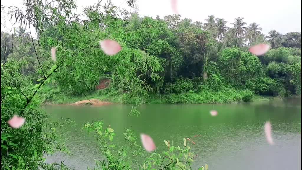 @user906460251965