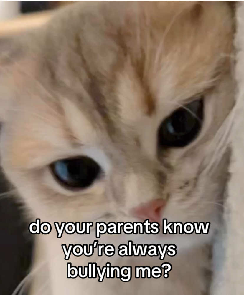 @the meow archive