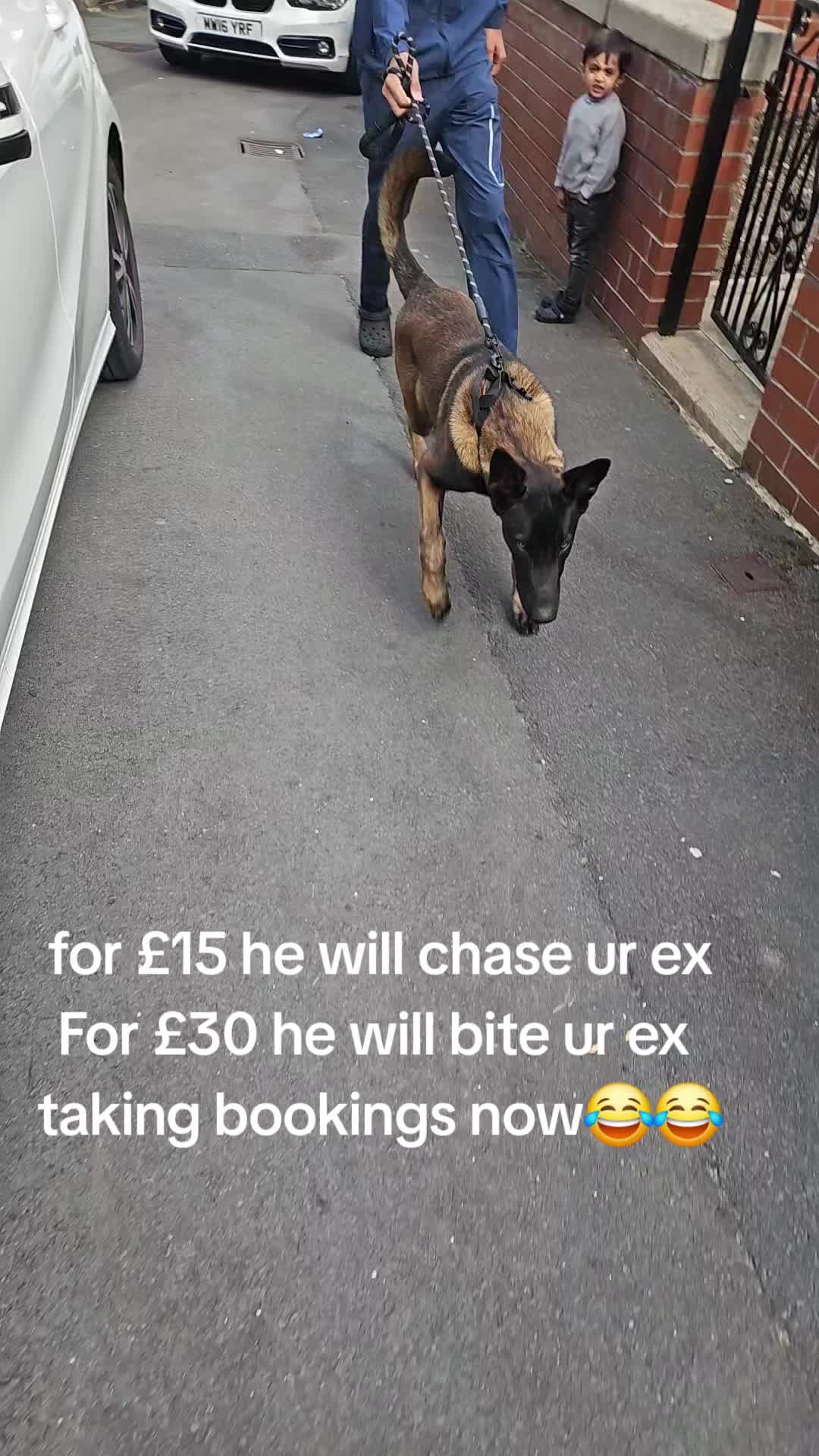 @K9Malinois