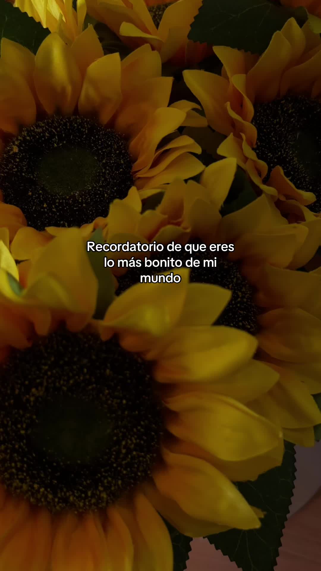 @🖤Frases🤍