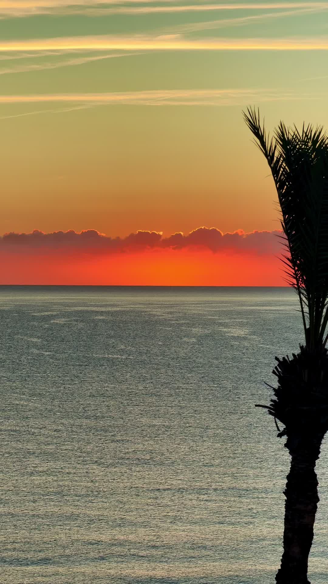 @SpanishPropertyExpert