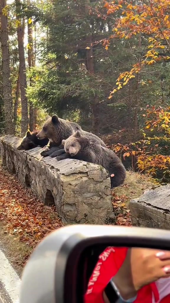 @Romania