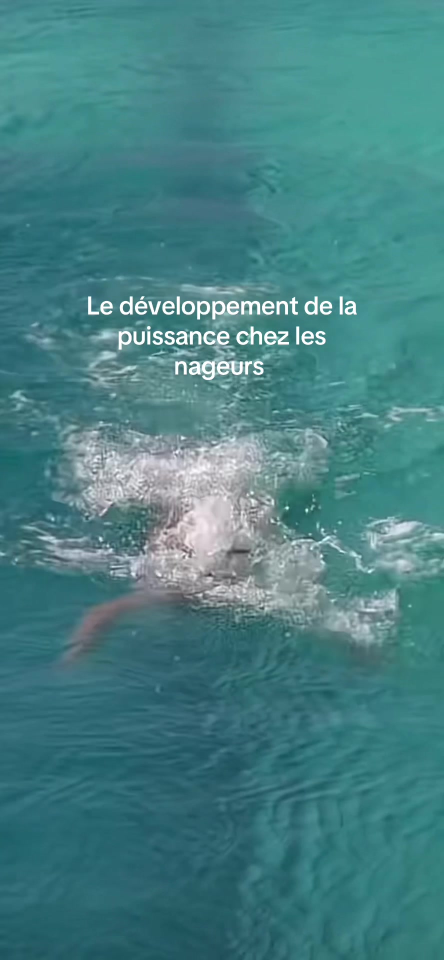 @BPMLabs