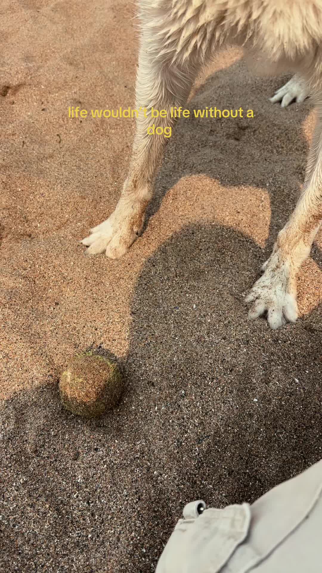 @leahxwatt