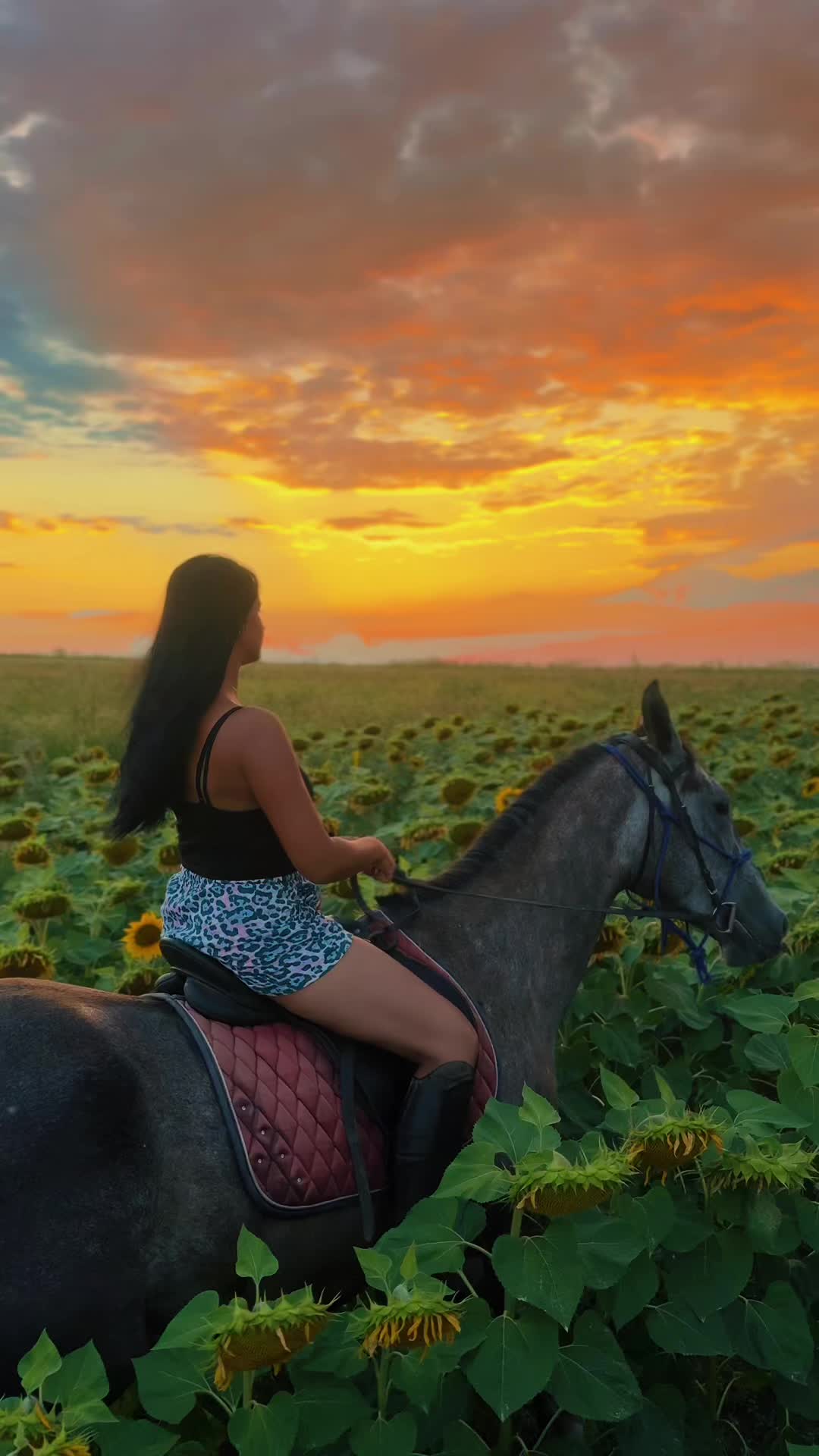@Alexandra de la Hidalgo 🤠