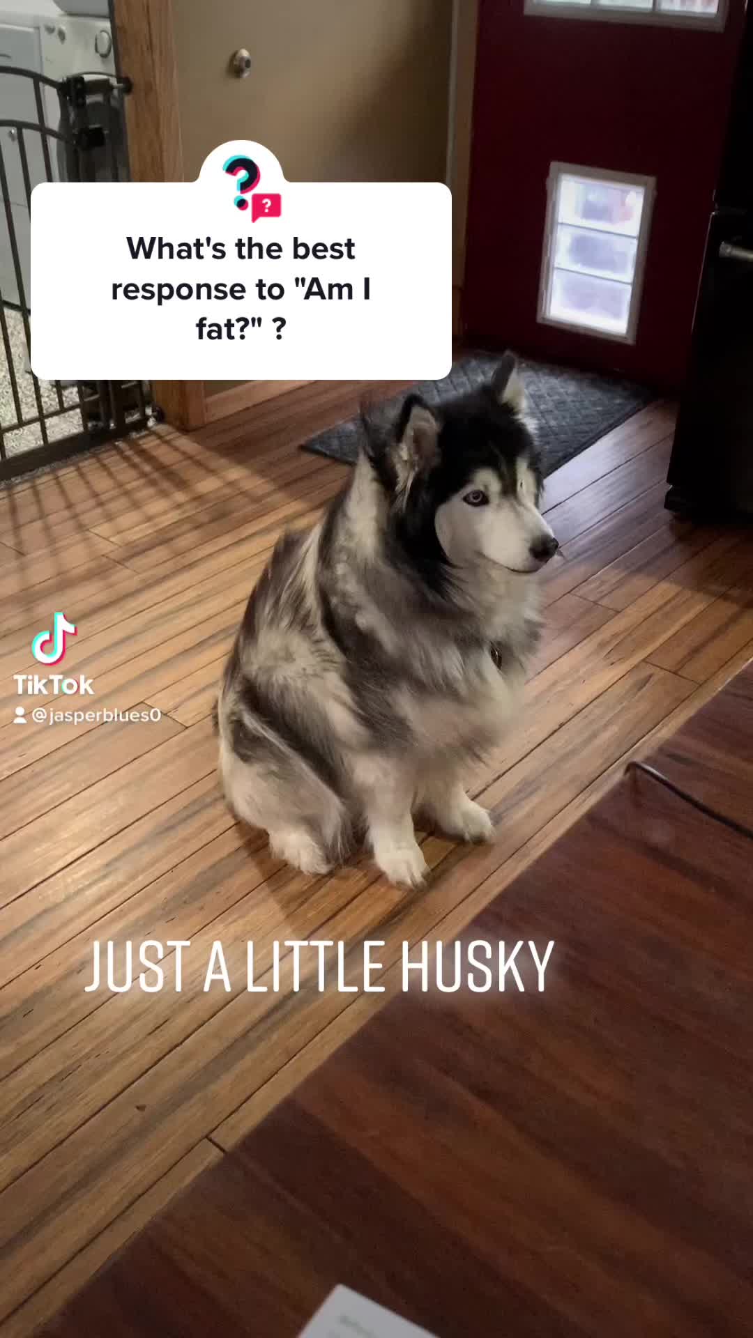 @jasperblues0