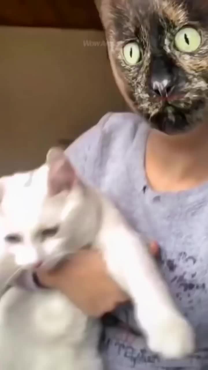 @leminh7197