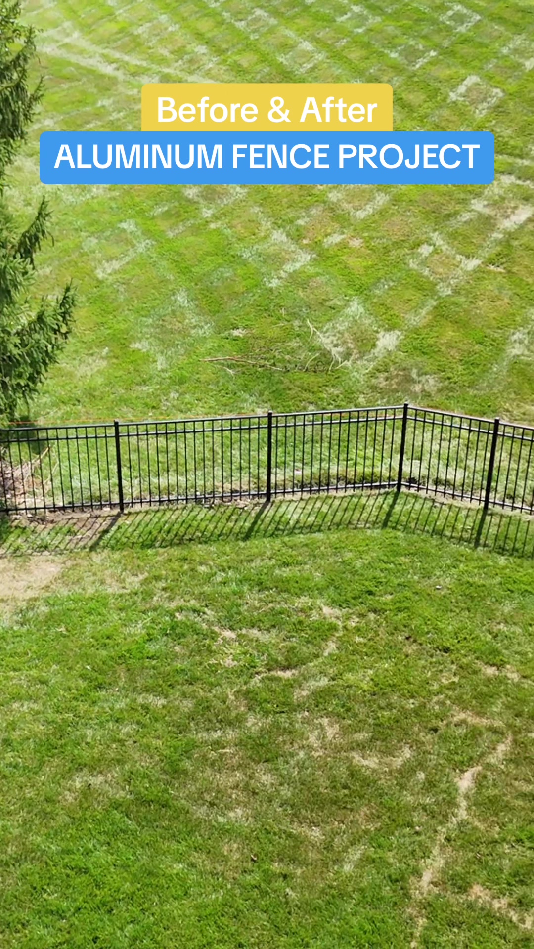 @BlueBird Fence