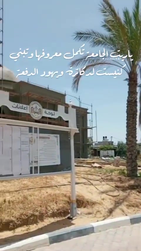 @roaa_amer