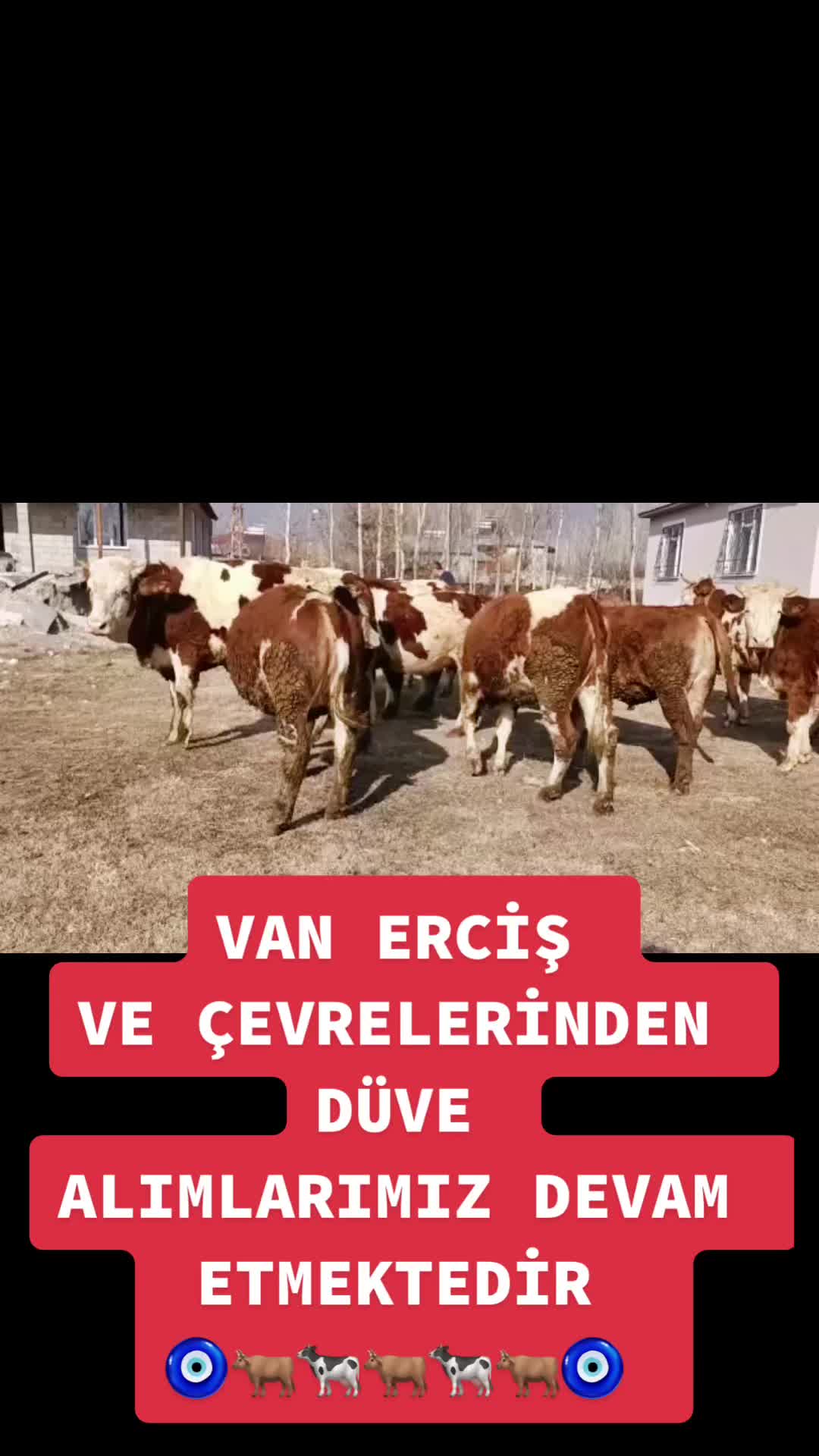 @Erhan Hasdemir