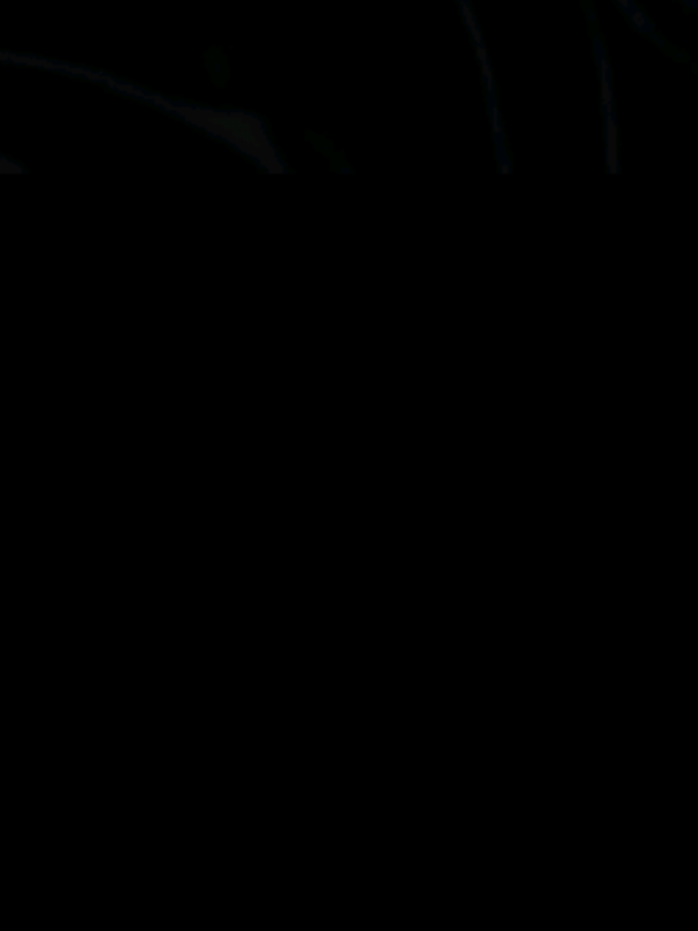 @୨ৎ 𝑻𝑯 🍱