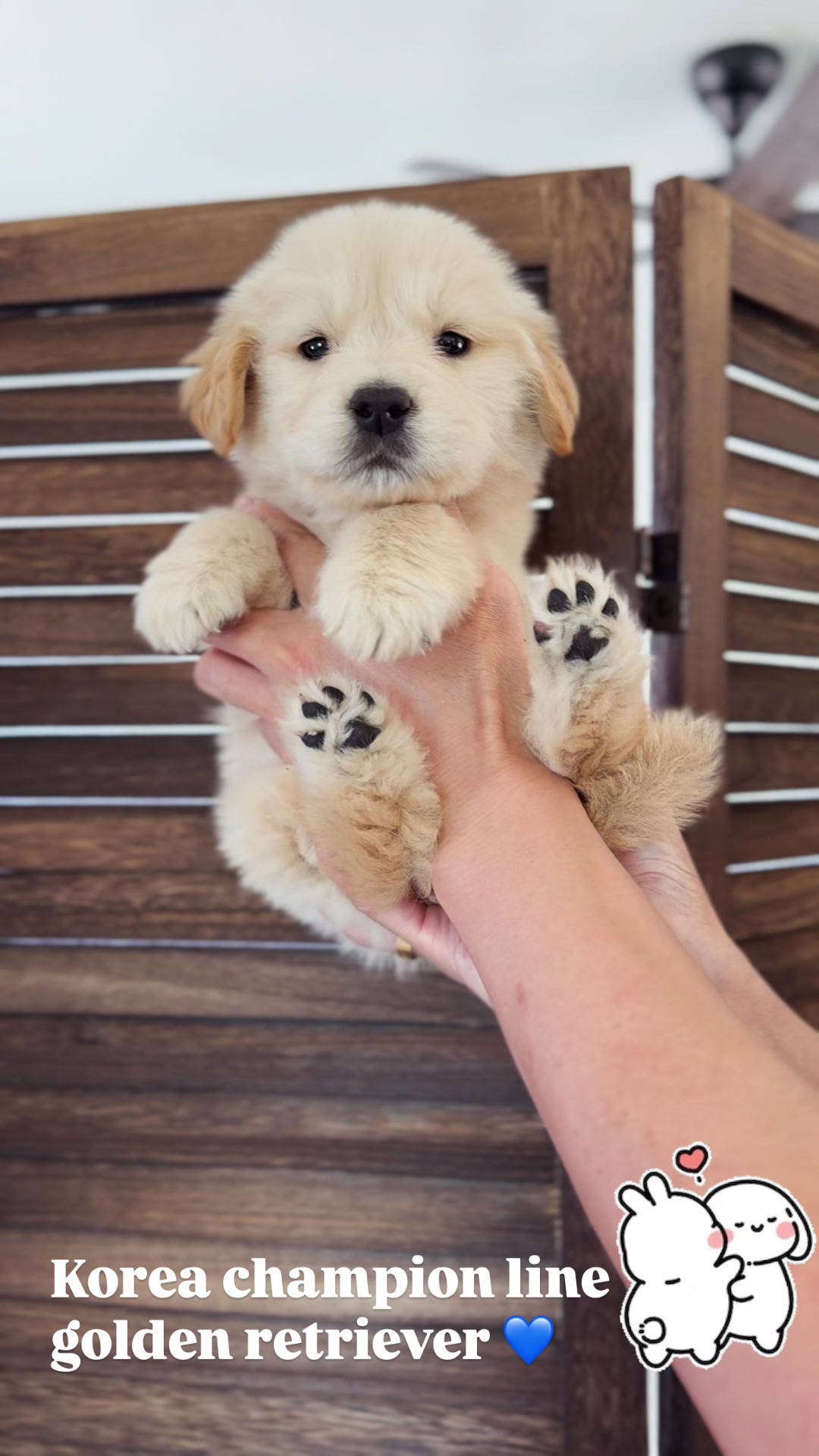 @pupsrepublicusa