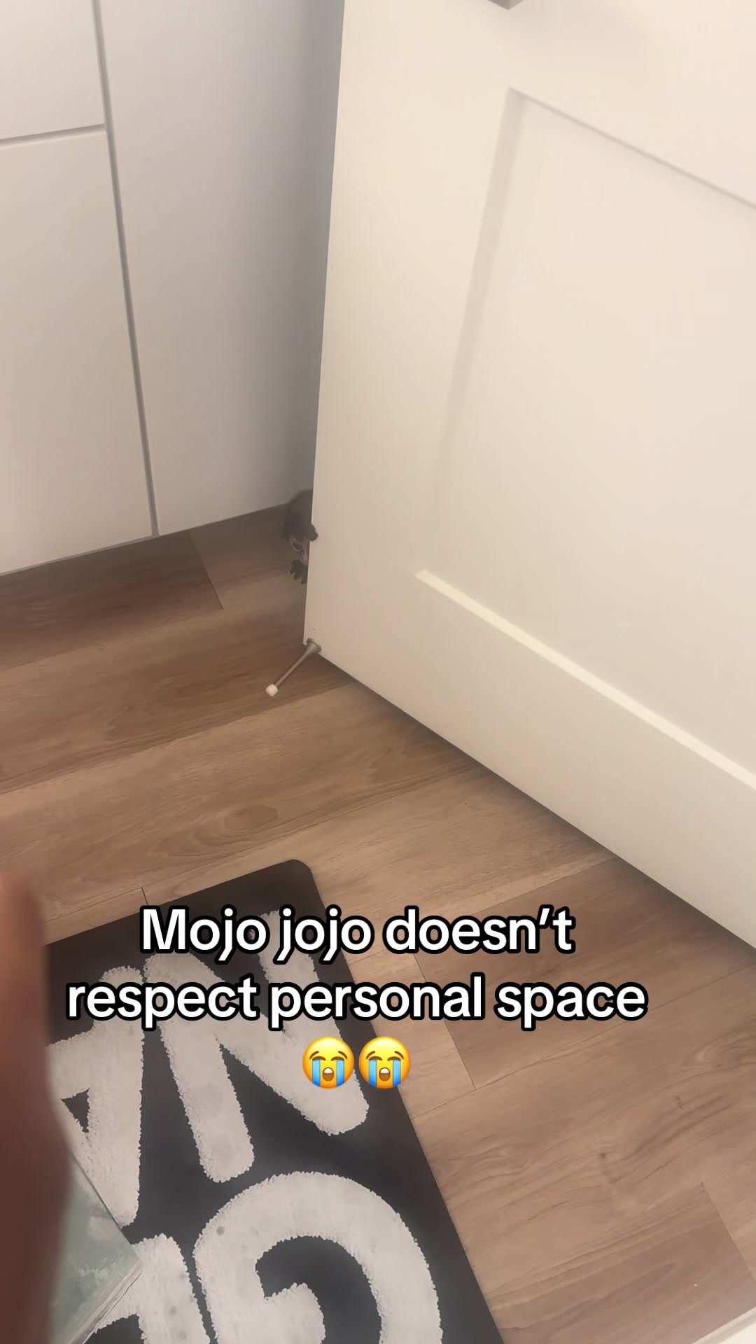 @OJTV & Mojo Jojo🧡
