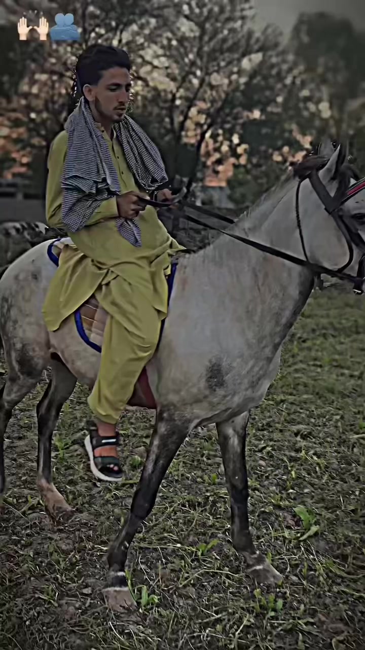 @QARI 46 👑