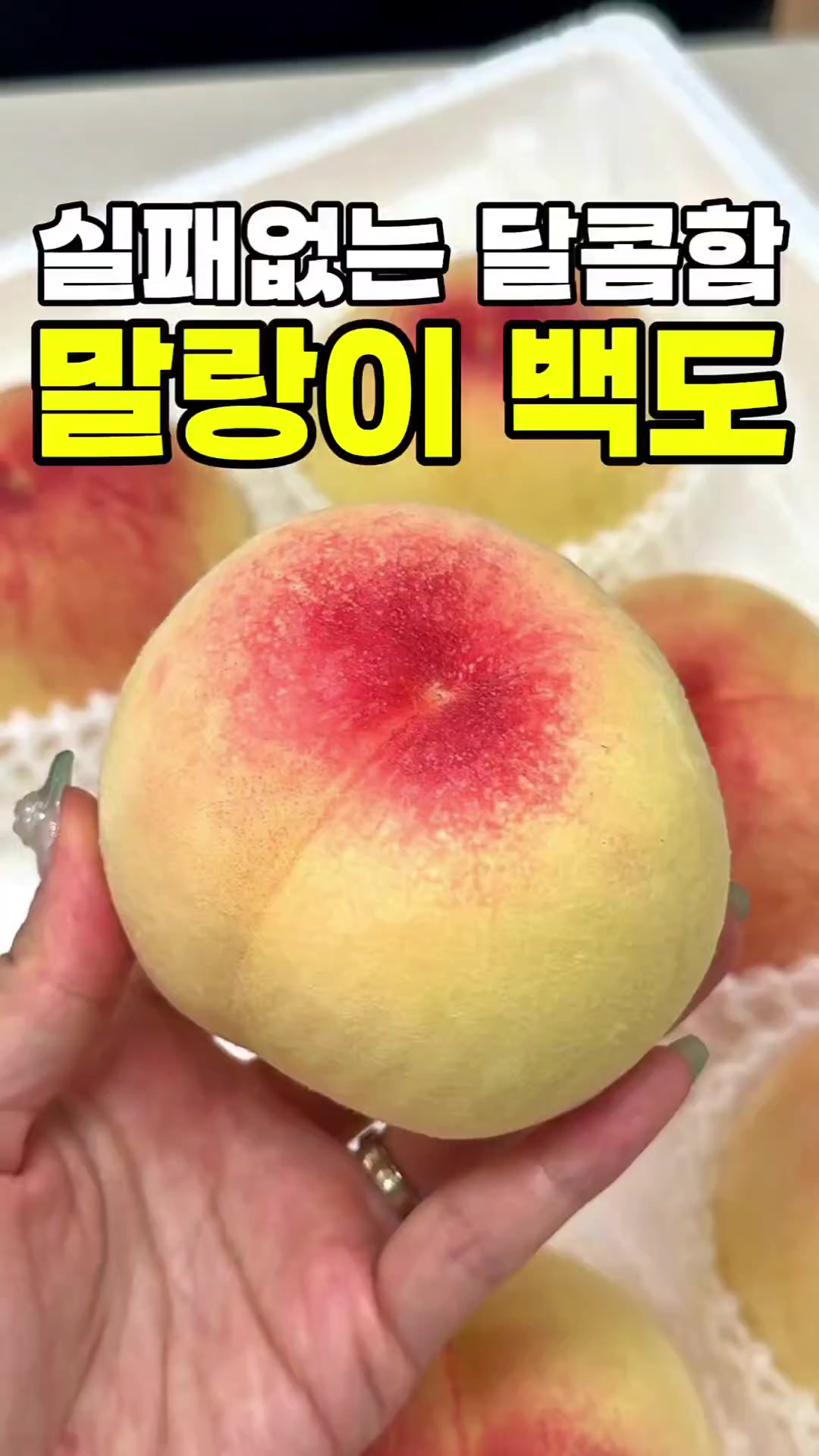 @싱싱햇 - 365일 싱싱한 햇 제철 먹거리