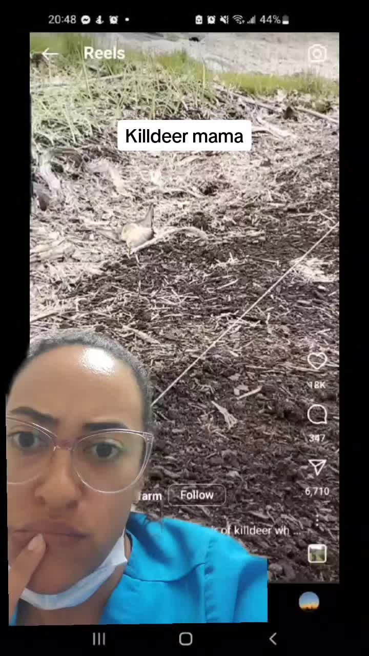 @amberc468