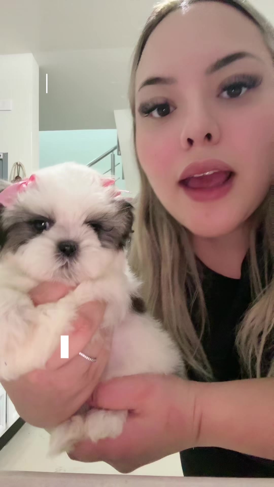 @CachorrosminidgoMX