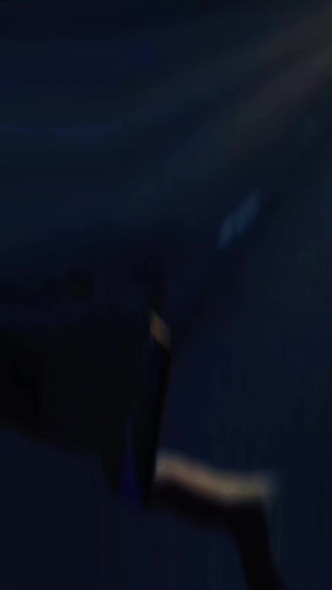 @⠂A𝕣ꪖᥴꫀꪶꪗⓒ ⠐