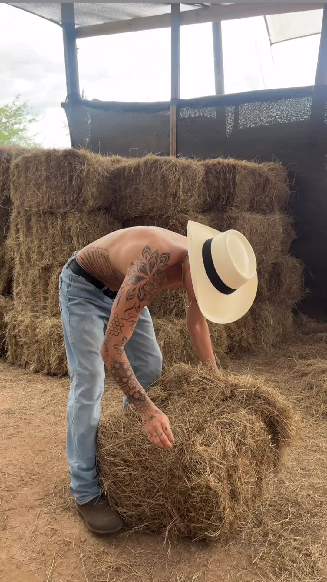 @José Manuel montes 🐎🐎