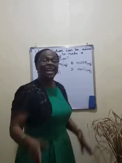 @Erada Oguntoye | Online Mentor