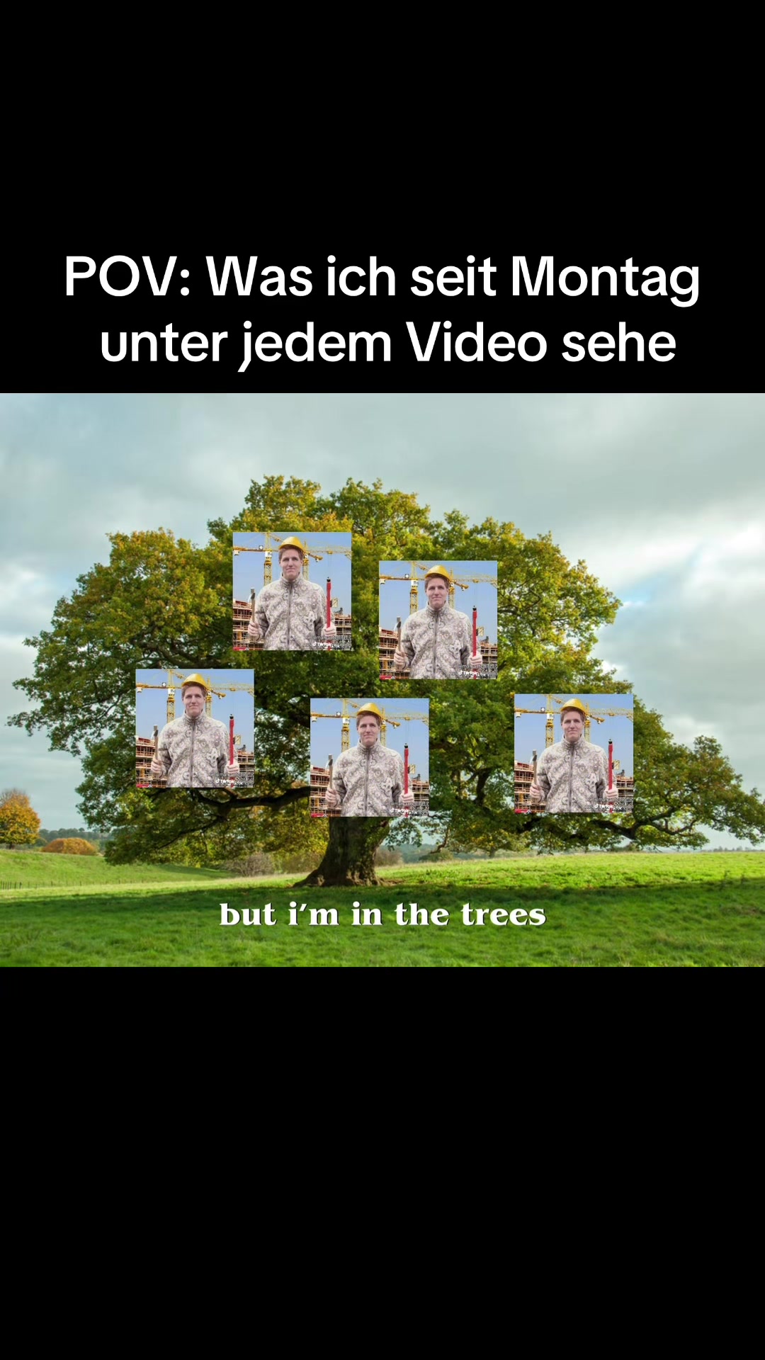 @Elena