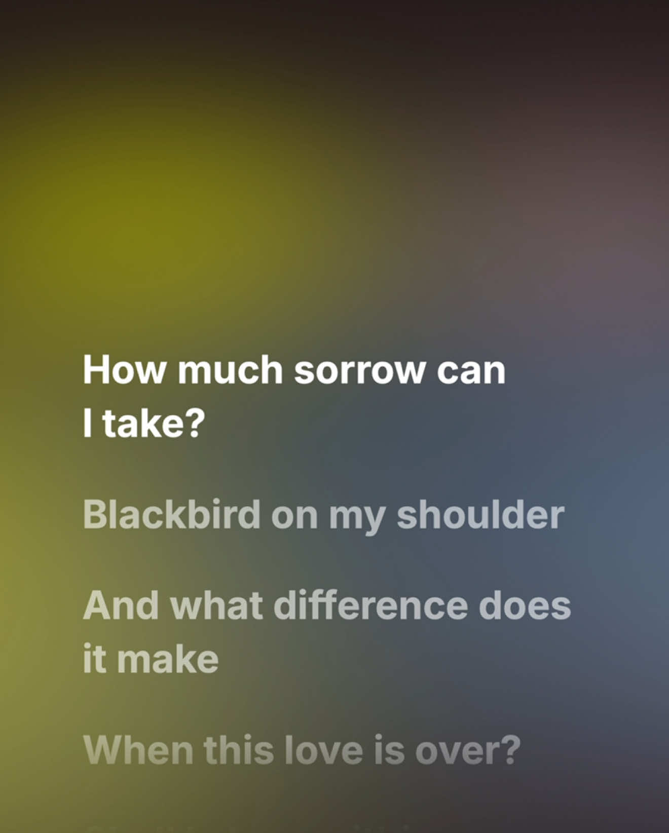 @trivioze lyrics