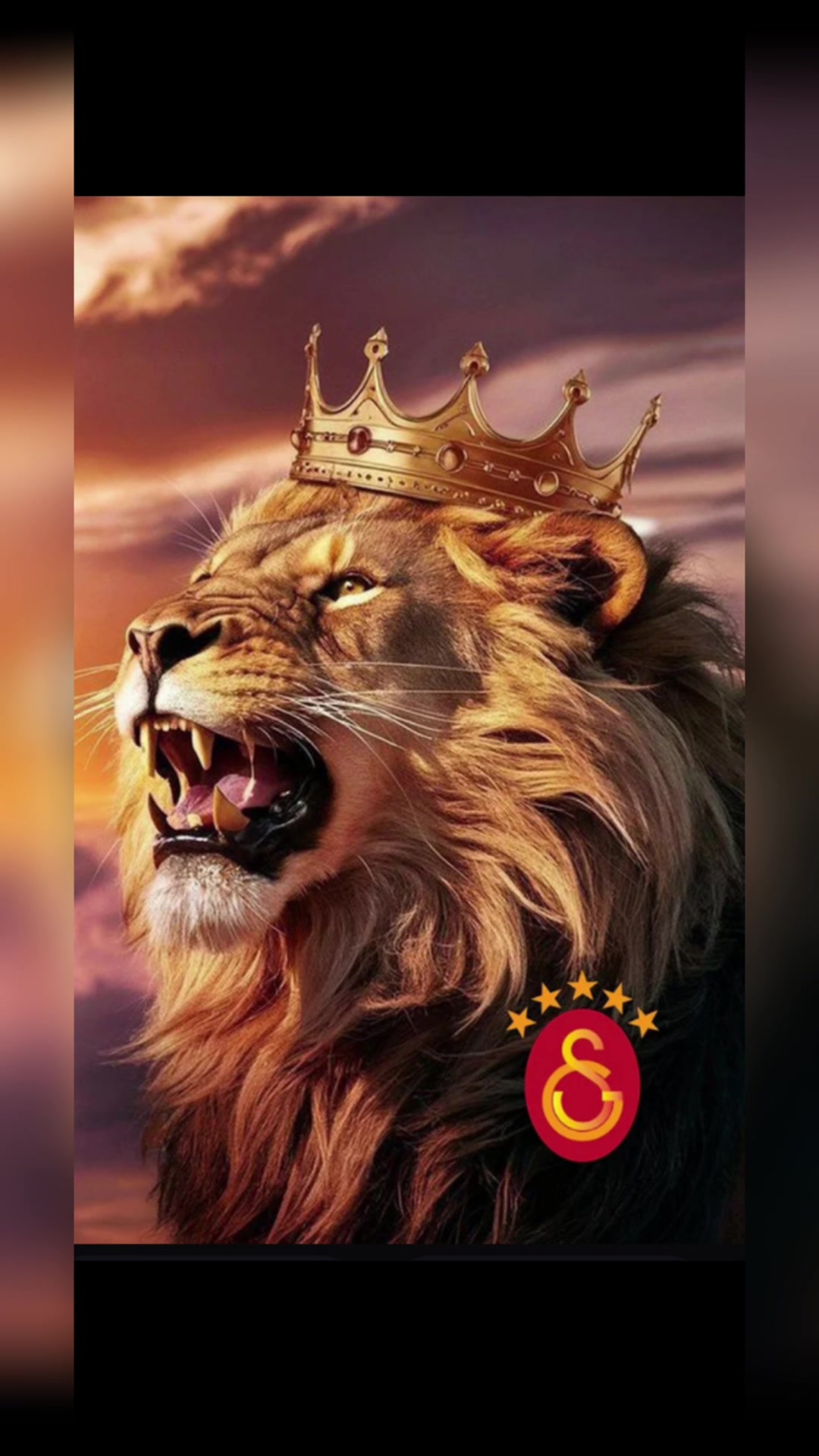 @LIONKING  🦁&hearts;️💛