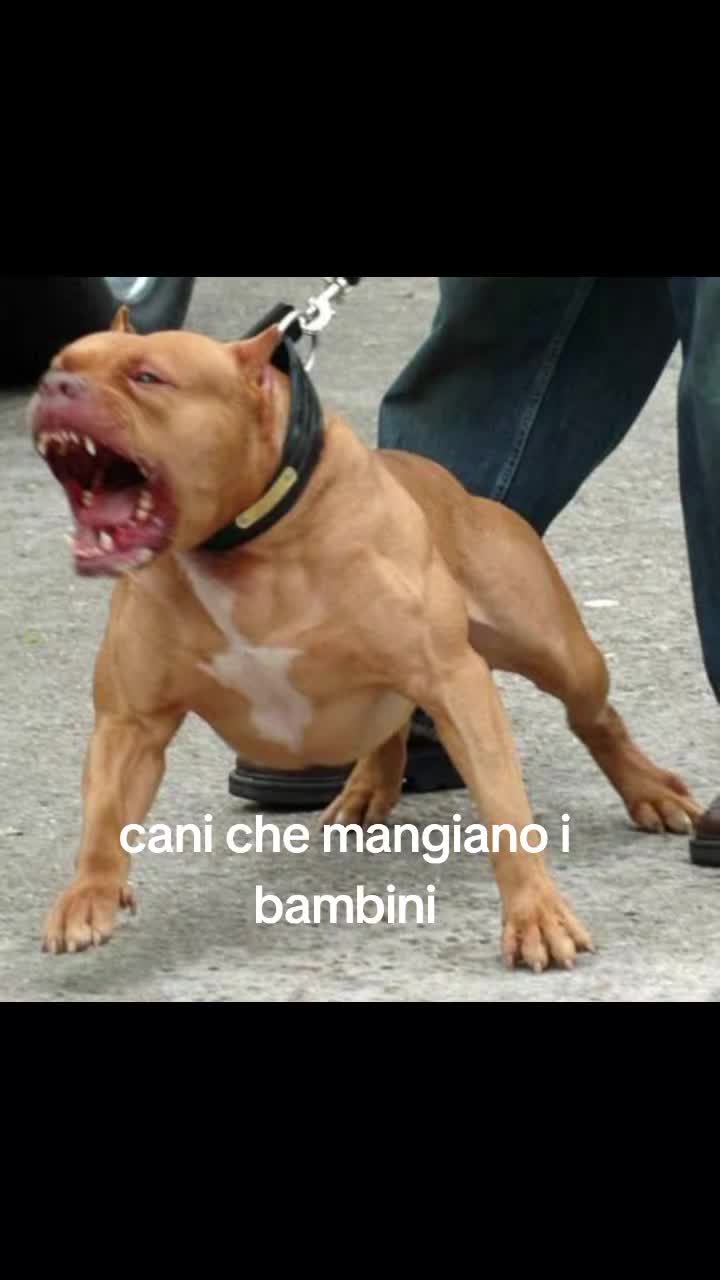 @Maddalena