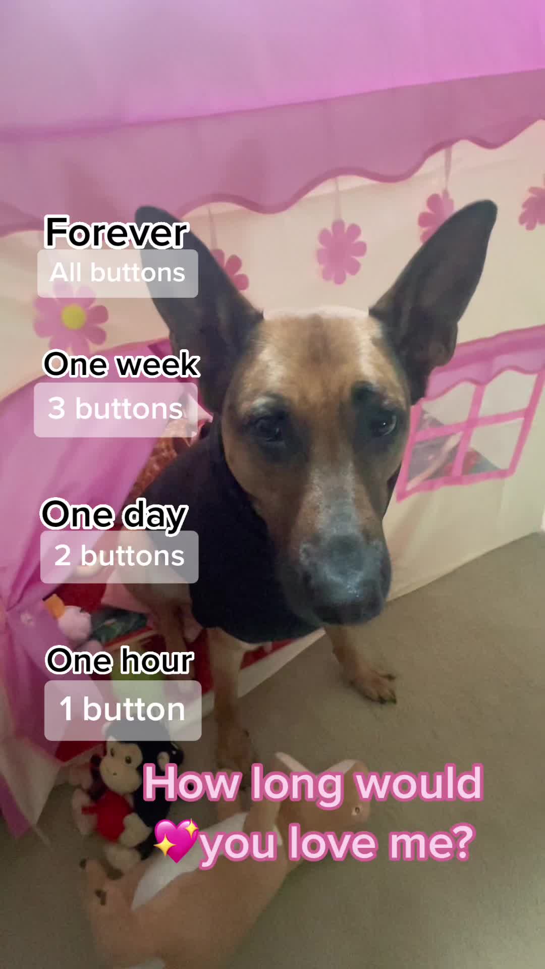 @Robyn🐕Blackberry