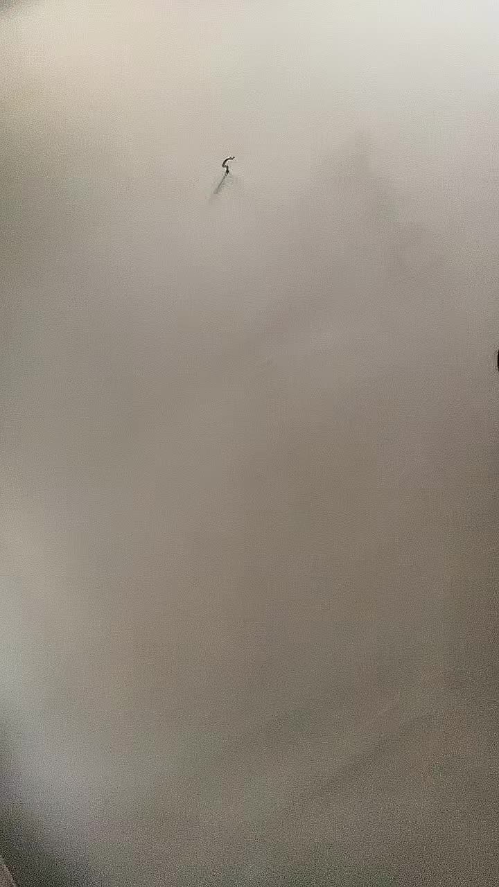 @peanutcitysunshine