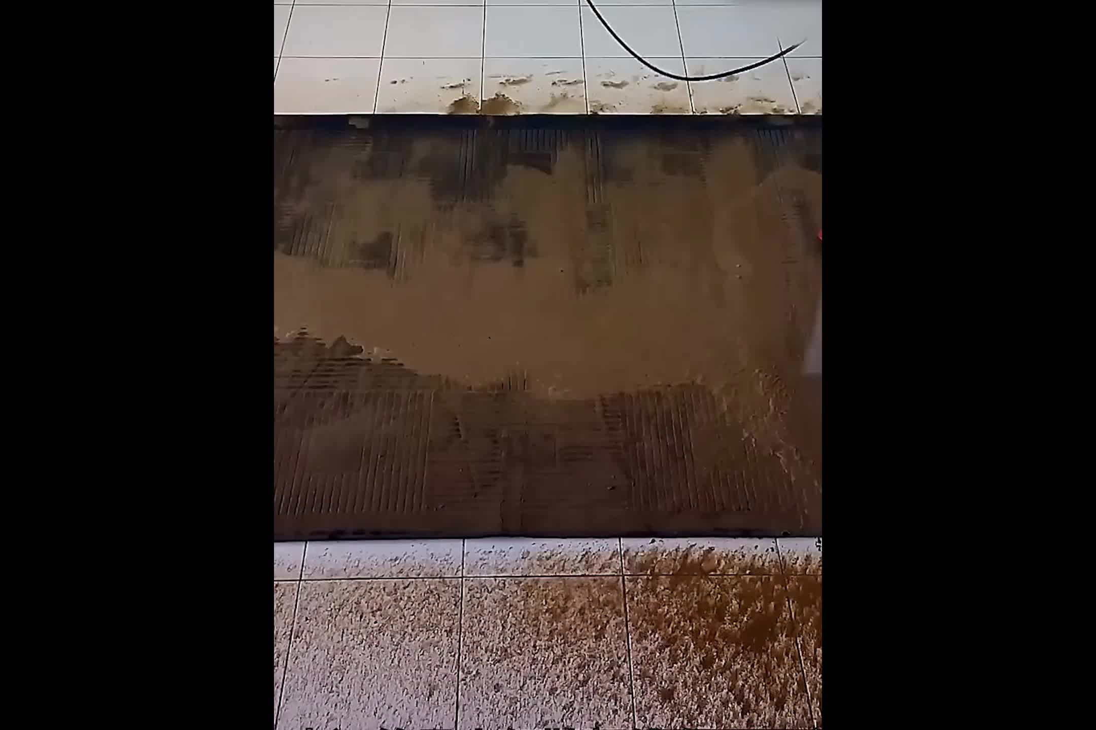 @毯哥