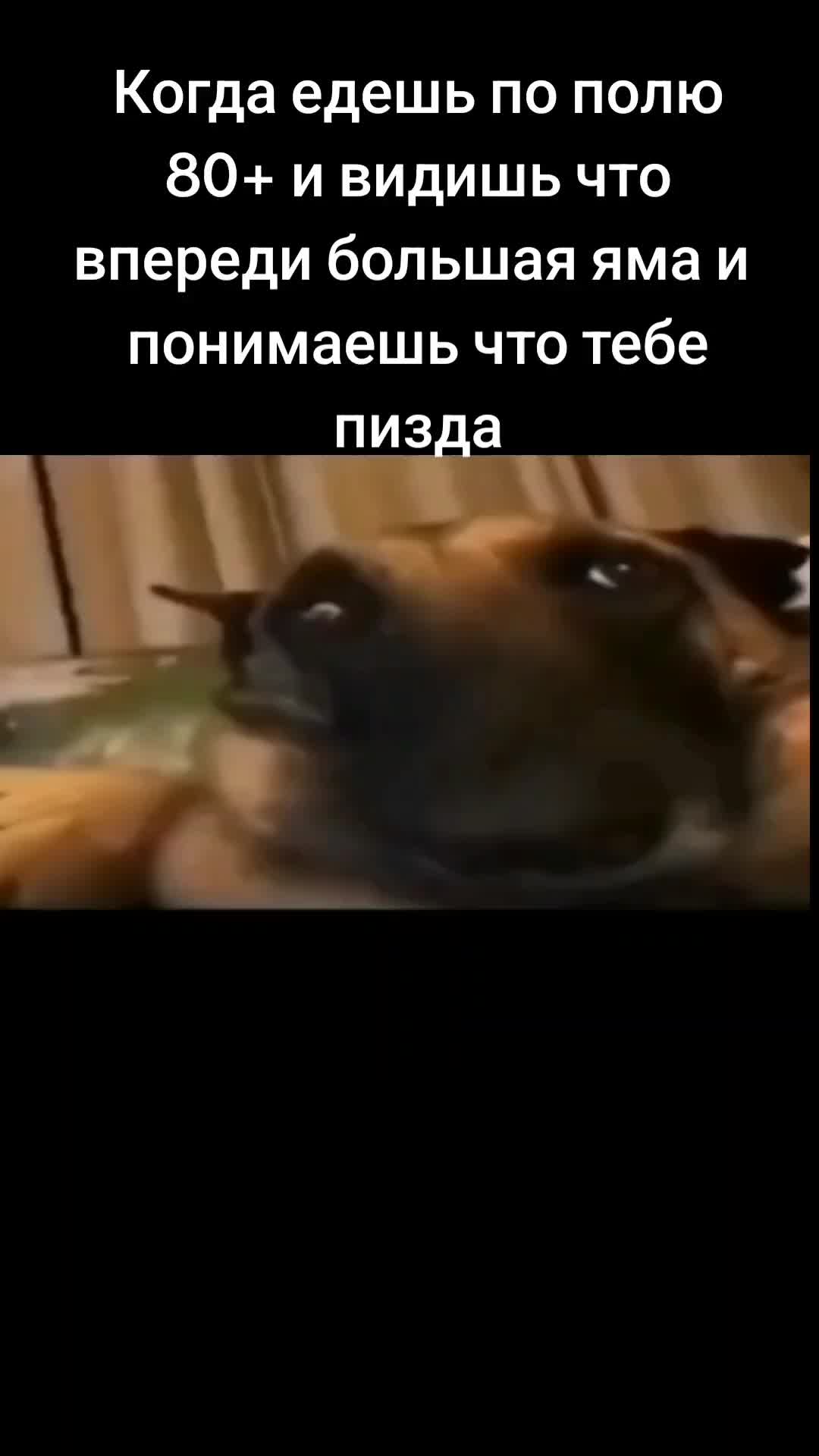 @4ikita52