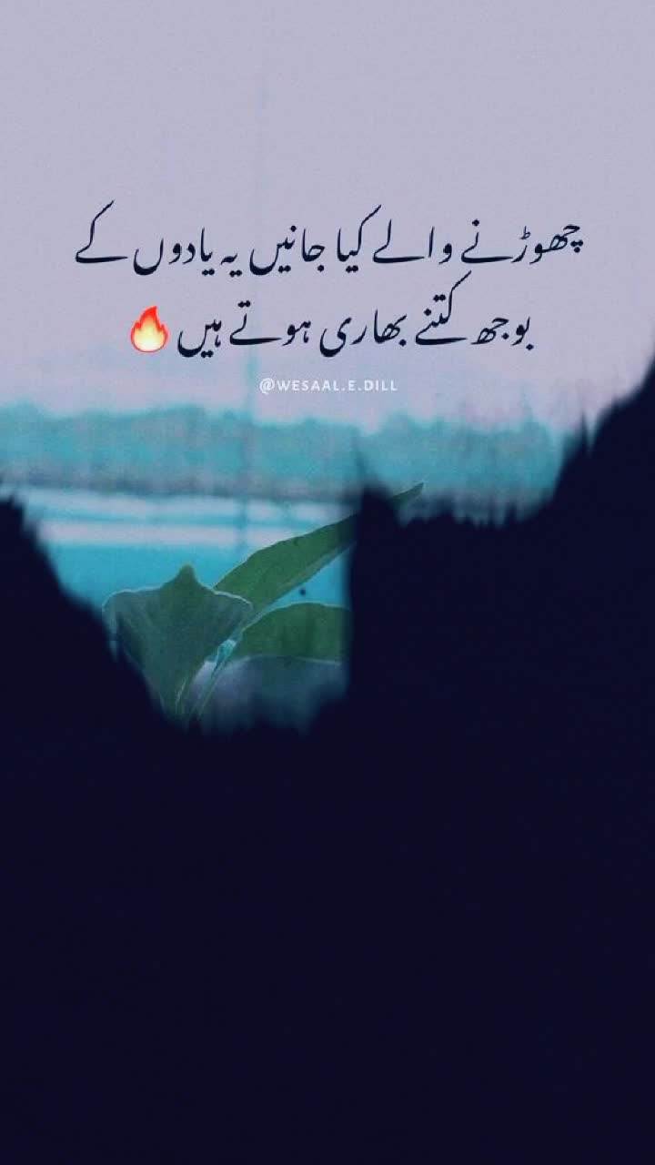 @Hussain writes ✍