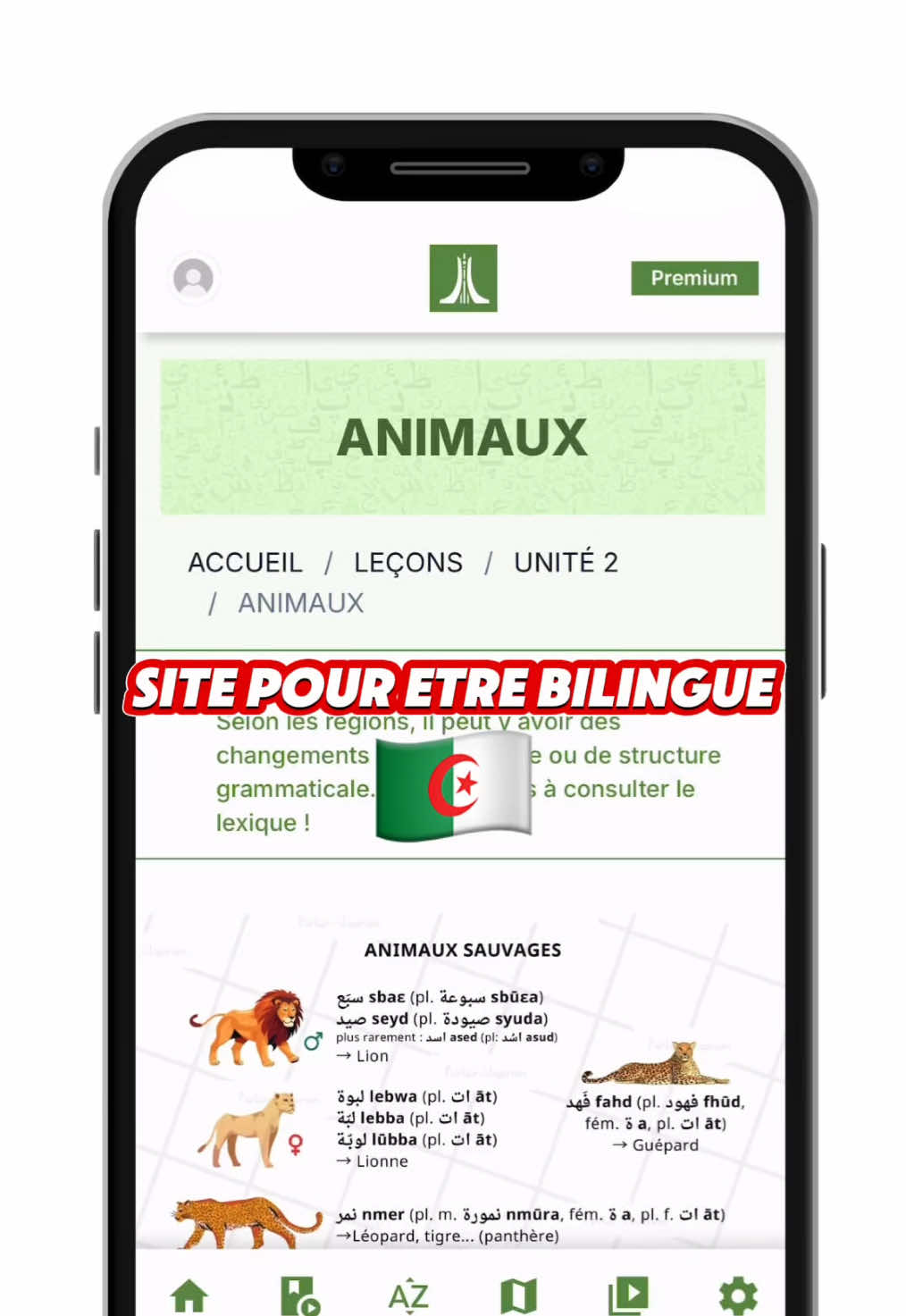 @parler_algerien