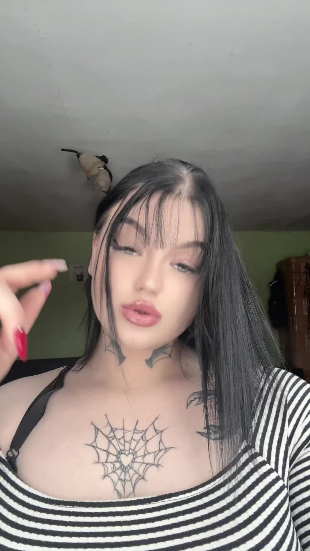 @𝔇𝔷𝔢𝔧𝔟𝔦𝔵 🐨