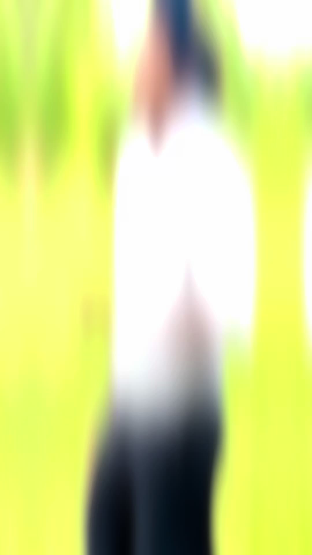 @V I J &Lambda; Y 🐉🤍