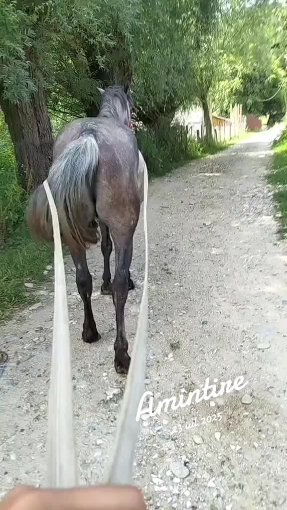 @Octavian zis gagicaru 🥰🥰🥰