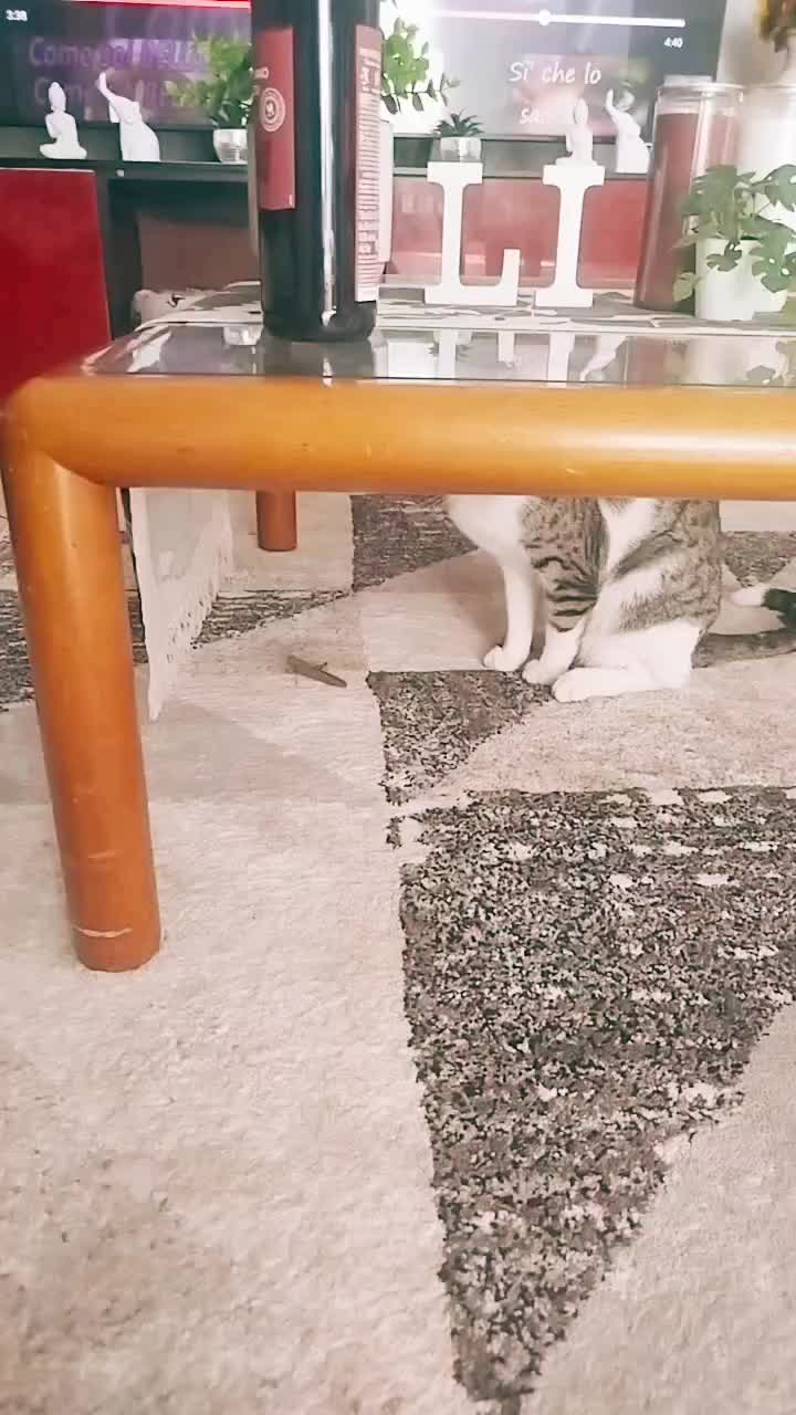 @Vëra Lockĕd