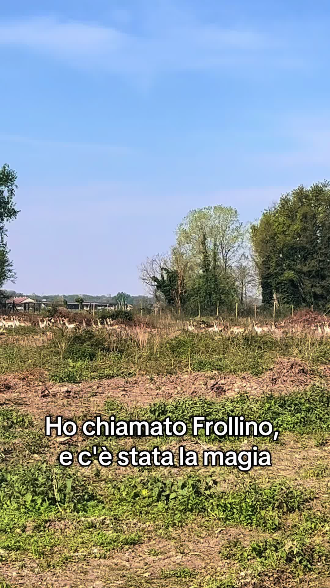 @Diario a Quattro Zampe
