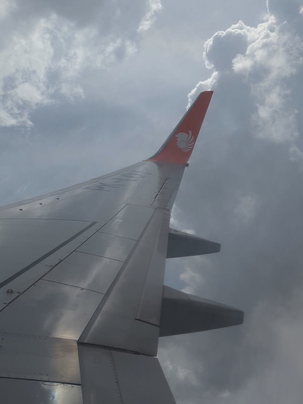 @Flying Nomad