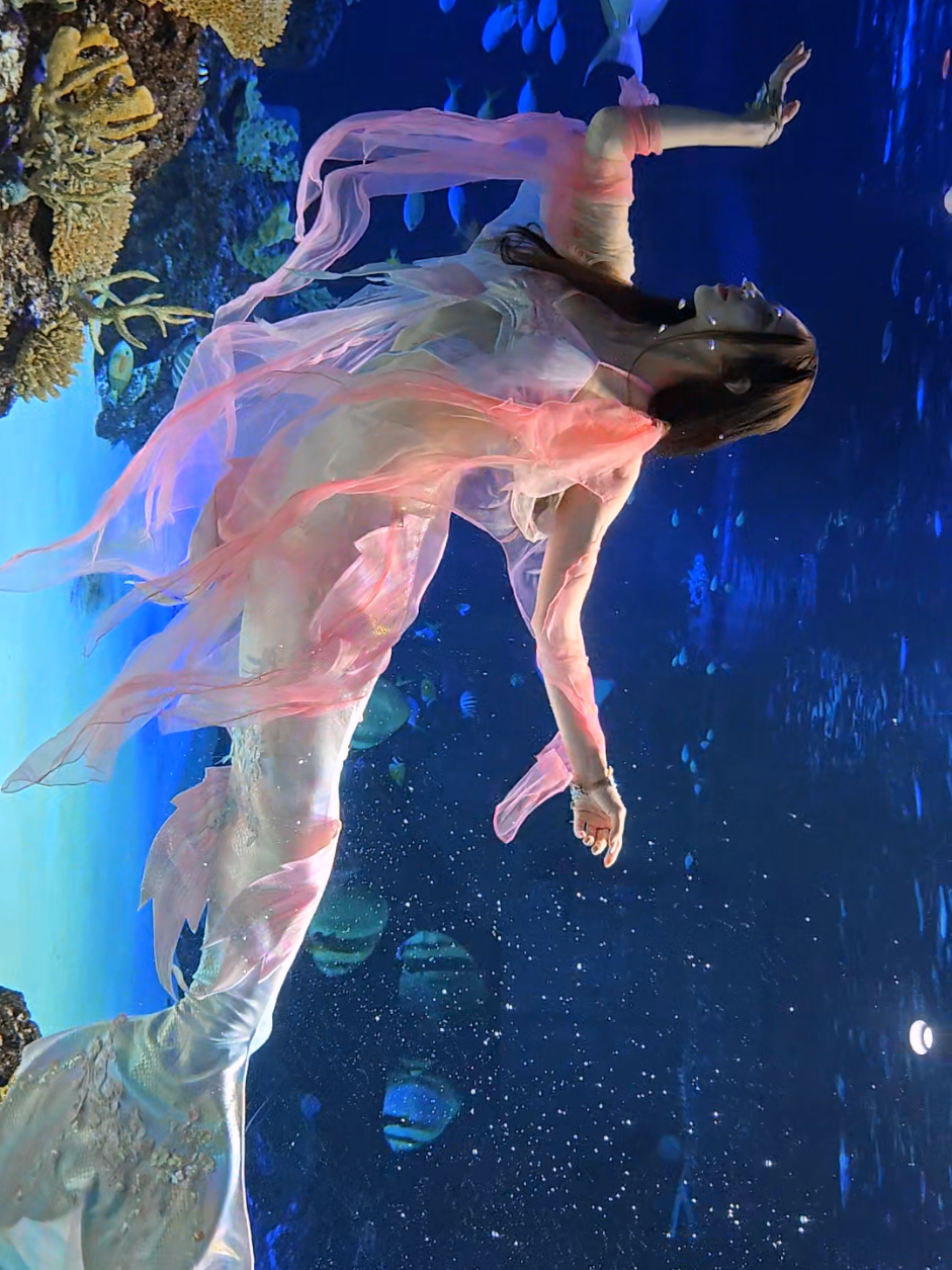 @아나스타샤 🪼 the mermaid