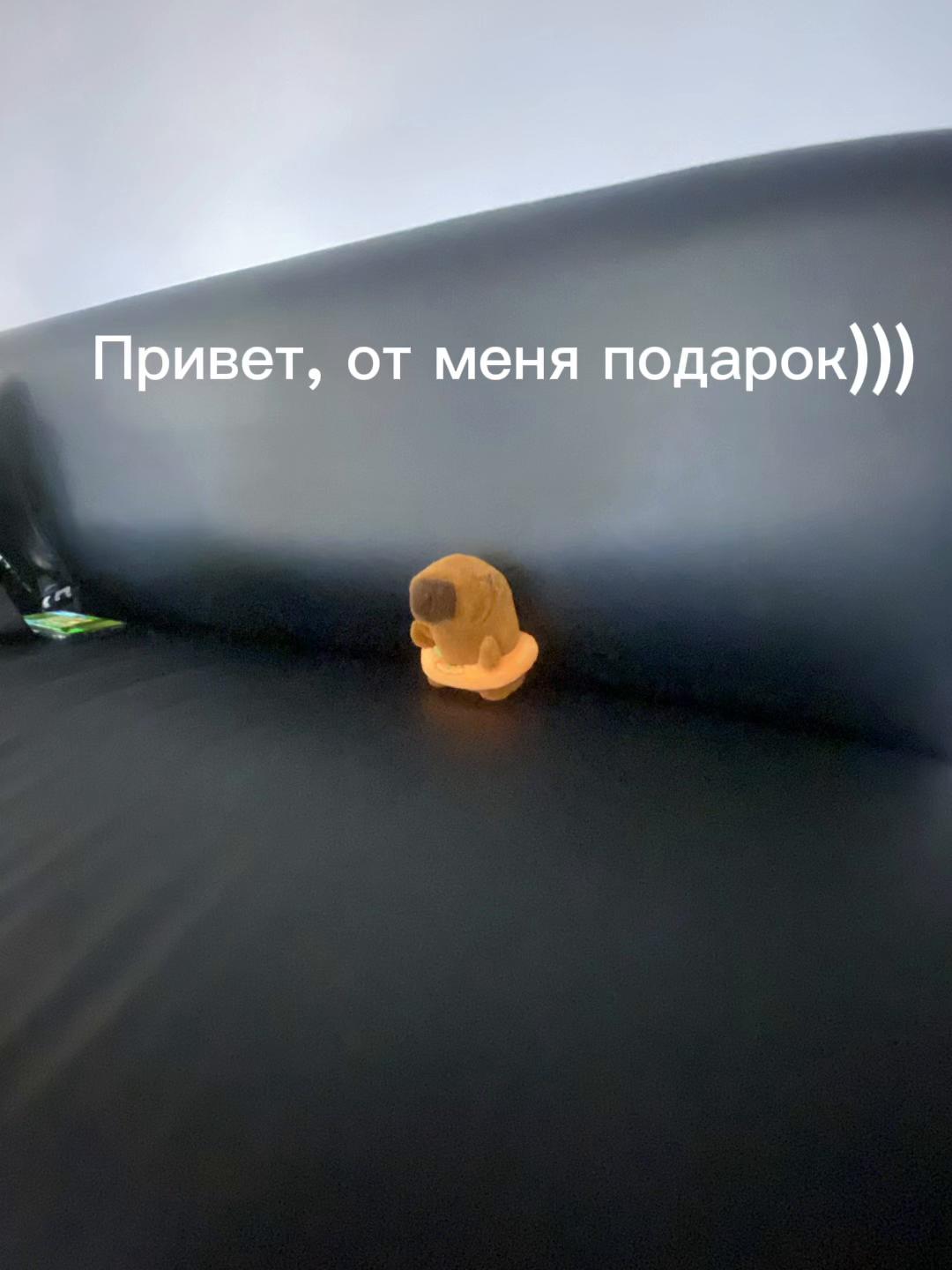 @Тгк: Подвал ФСБ