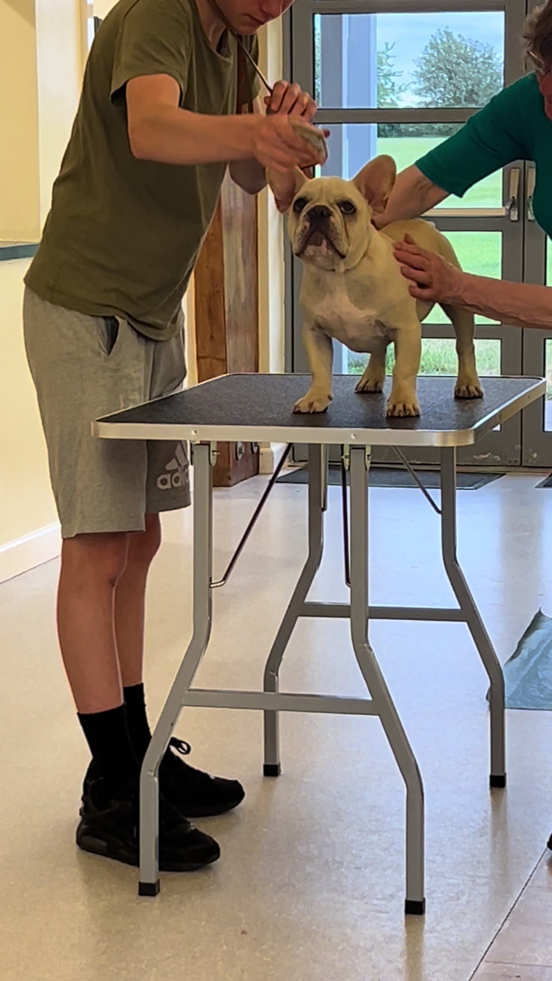 @perfectibull_uk
