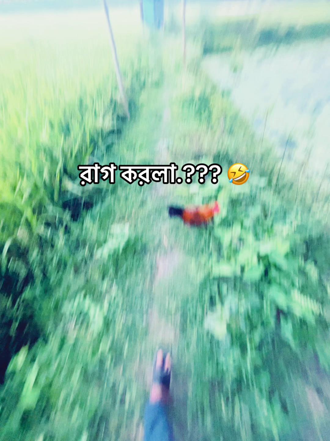 @SHAKIN ALVI 