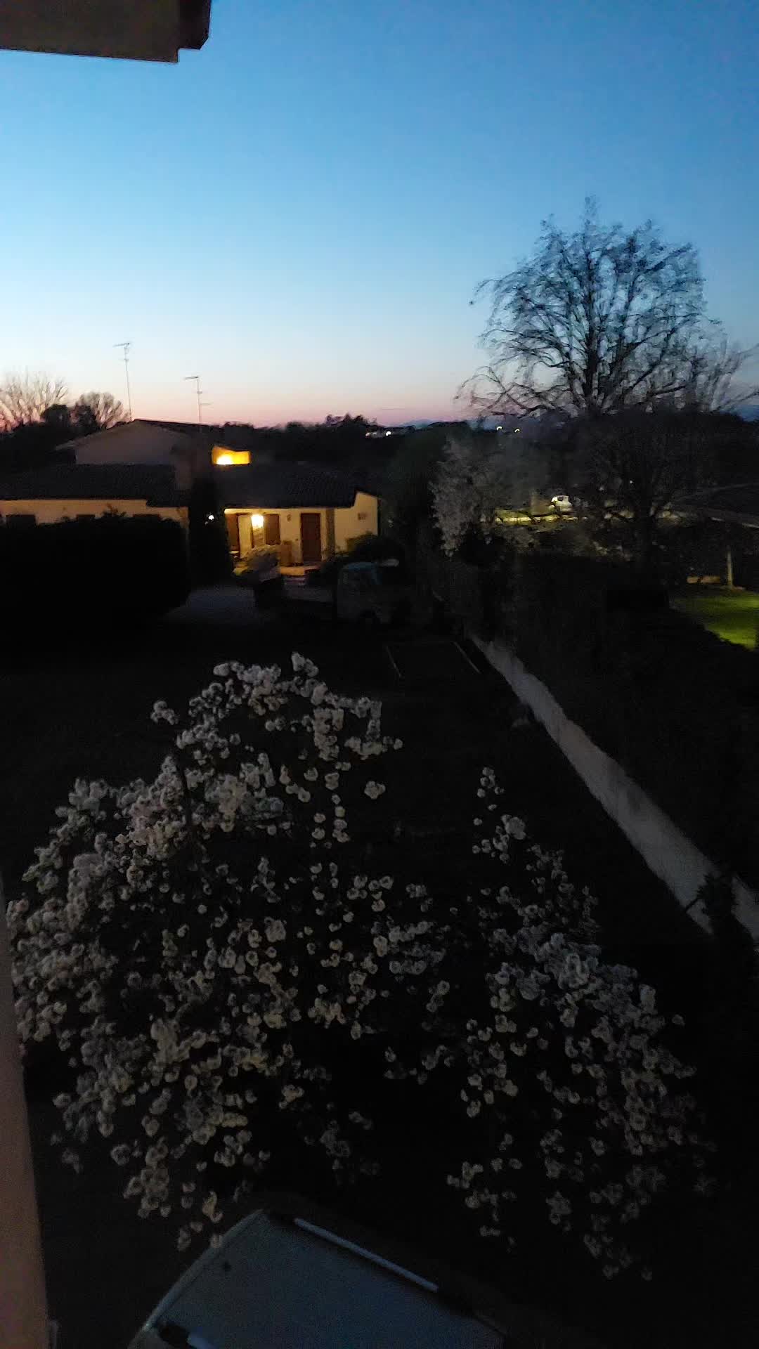 @ZiaNat69